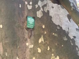 b_1024_768_0_00_images_2022_2023_1-3_Rzeszow_maj_346646809_1674103276365425_4901164119085195085_n